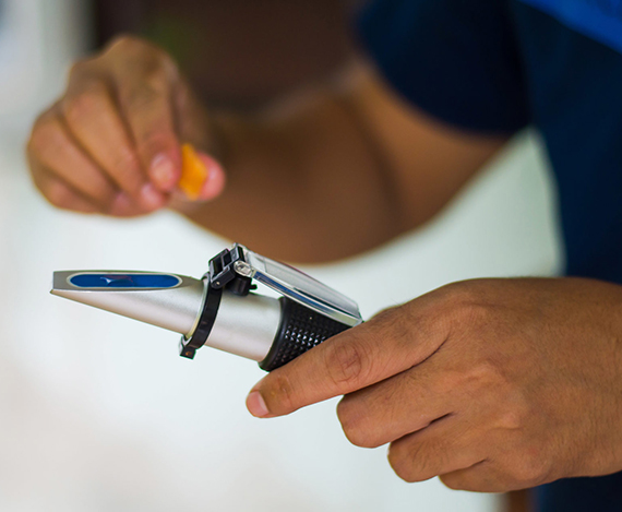 6165cc金沙总站(China)检测有限公司-BinG百科